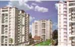 Wembley Premium Tower - 2-3 bedroom apartments at Sector-50, Shona Road, Gurgaon